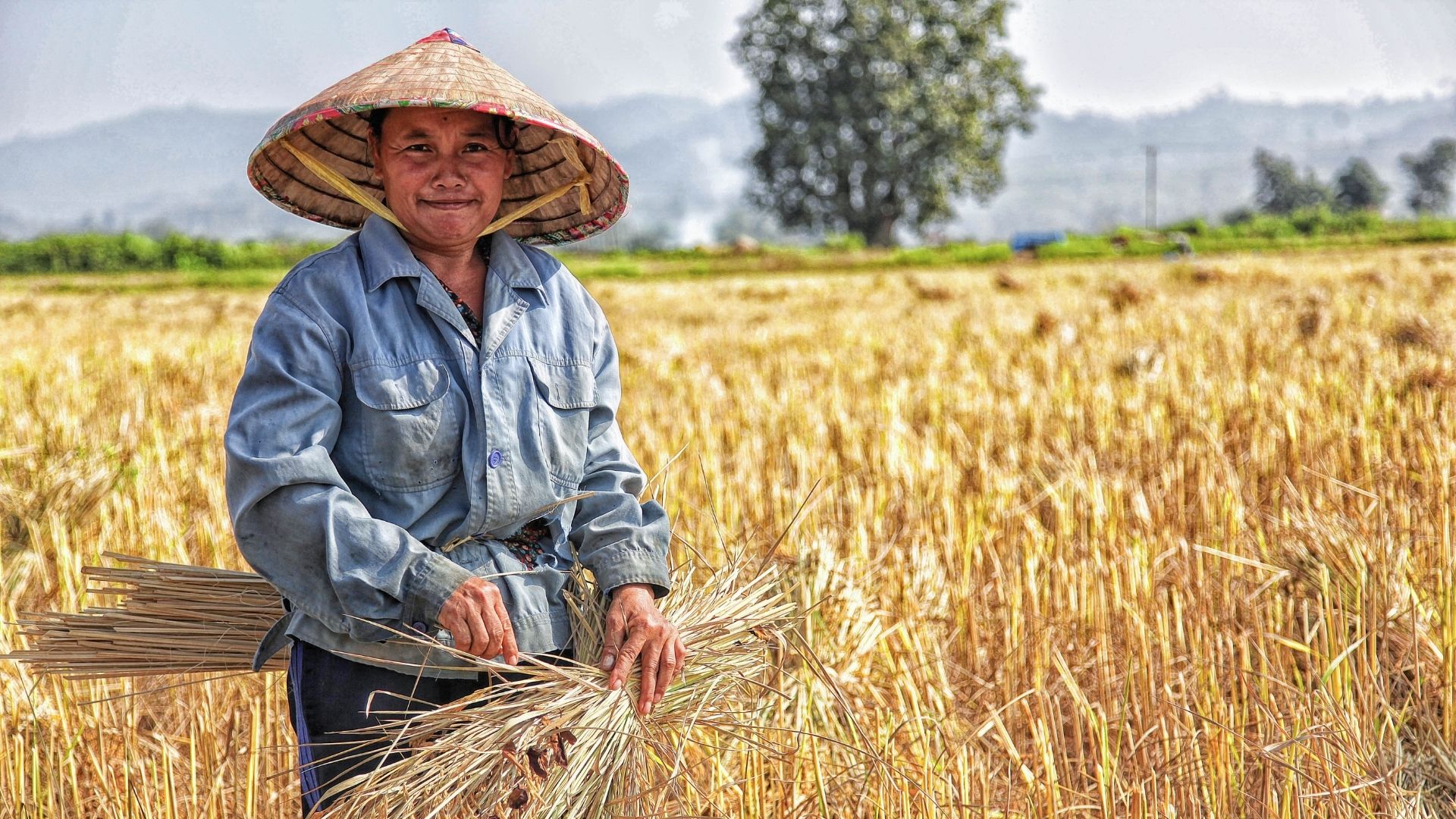 Agri-Food Pilot Program