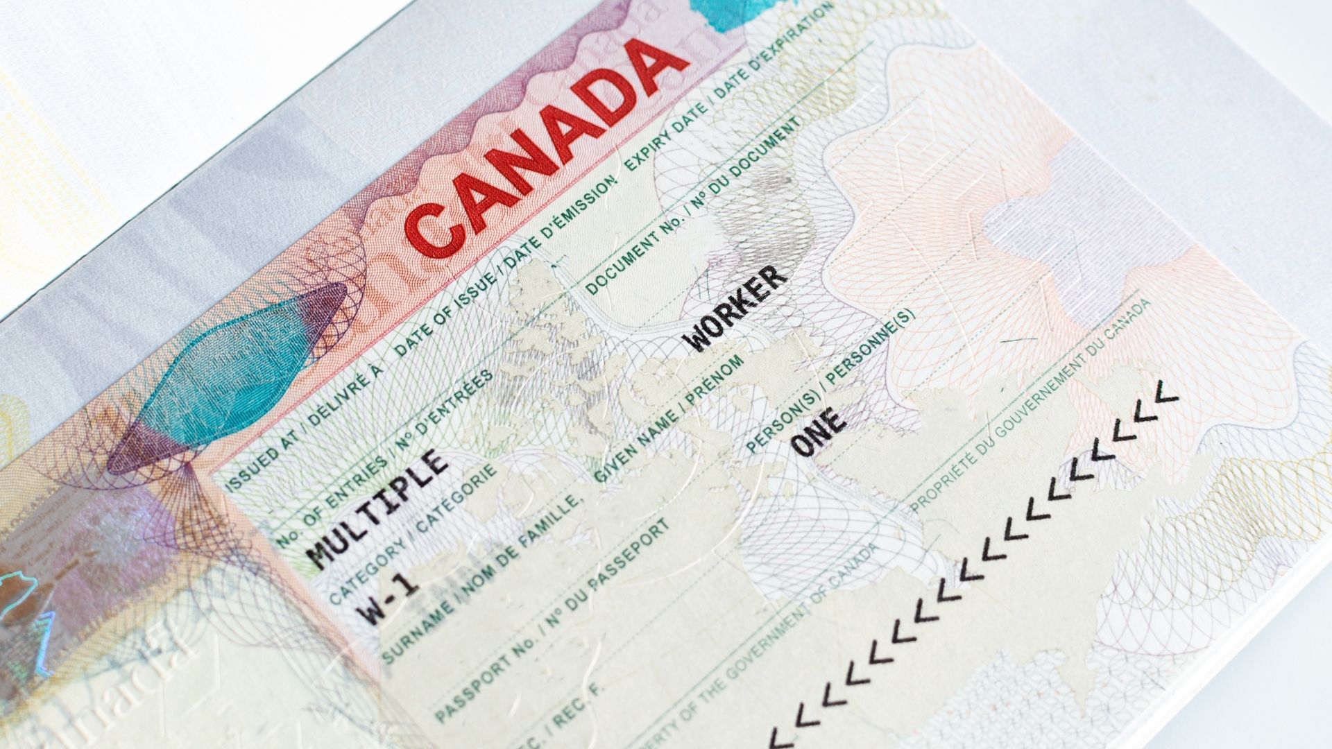 Work Permit