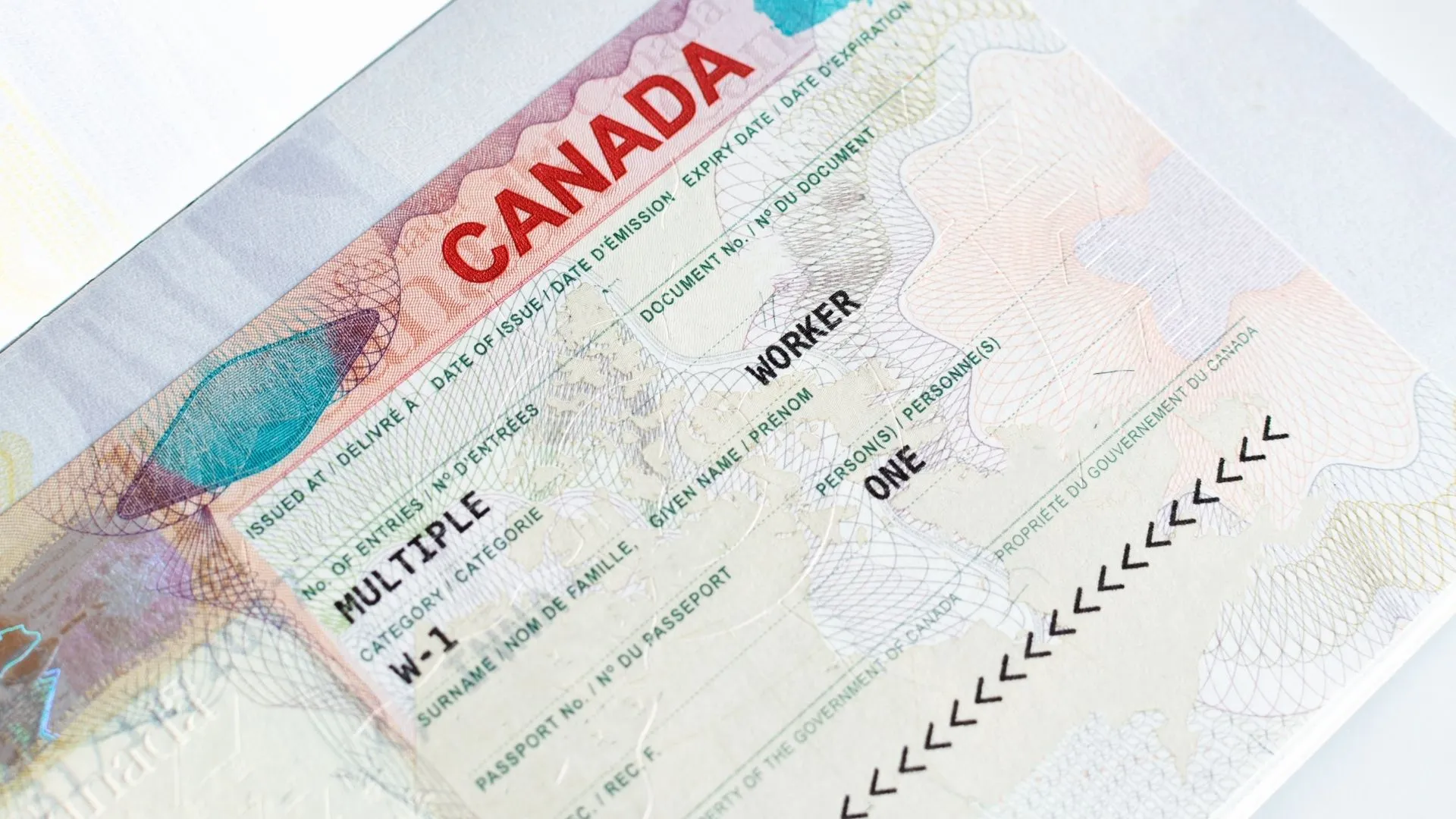 Work Permit