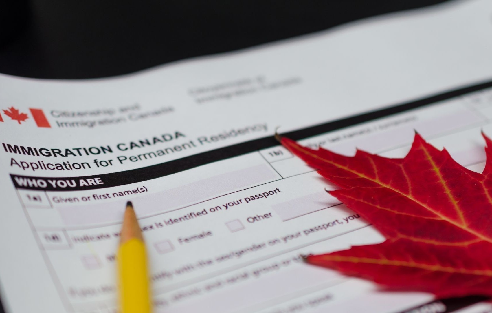 LMIA for Canadian Businesses