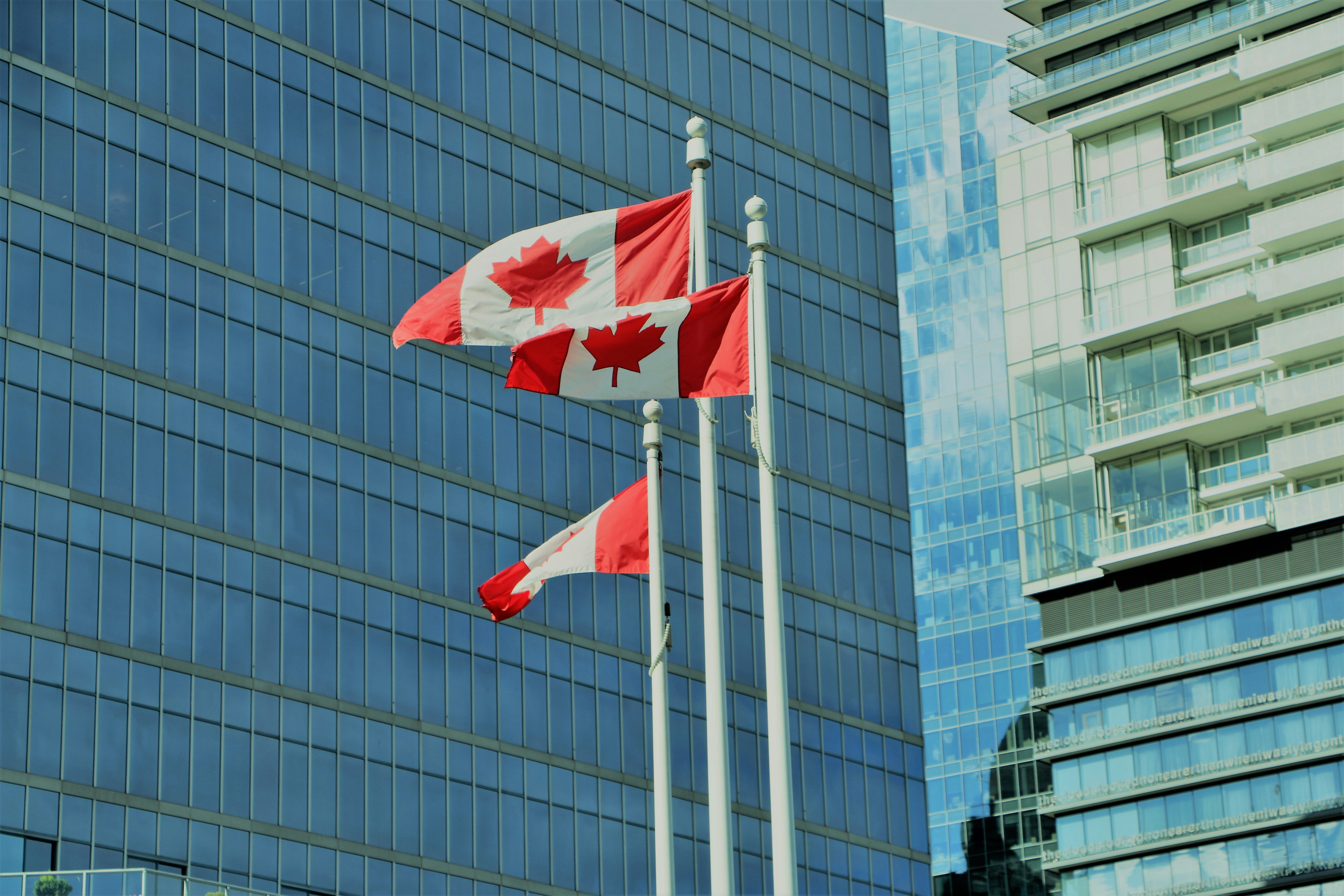 Permanent Residency